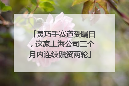 灵巧手赛道受瞩目，这家上海公司三个月内连续融资两轮