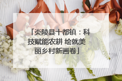 炎陵县十都镇：科技赋能农耕 绘就美丽乡村新画卷
