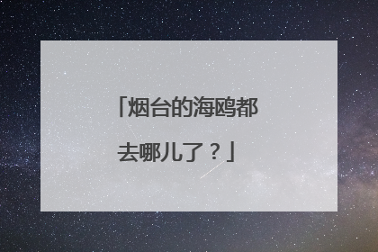 烟台的海鸥都去哪儿了？