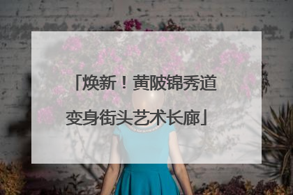 焕新！黄陂锦秀道变身街头艺术长廊