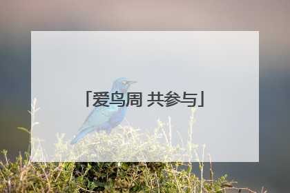 爱鸟周 共参与