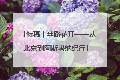 特稿｜丝路花开——从北京到阿斯塔纳纪行