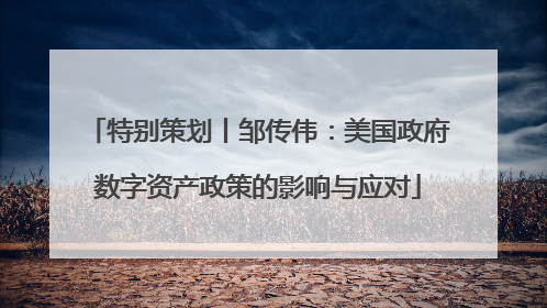 特别策划丨邹传伟：美国政府数字资产政策的影响与应对