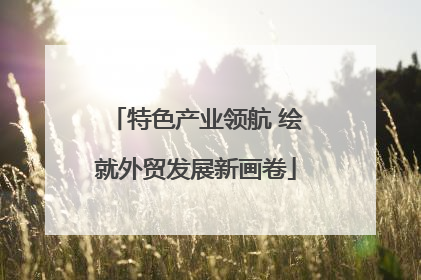 特色产业领航 绘就外贸发展新画卷