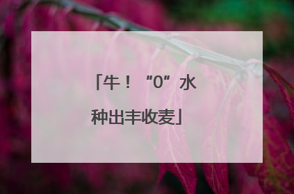 牛！“0”水种出丰收麦