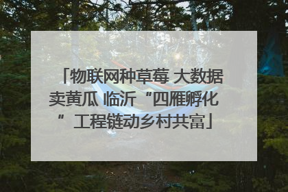 物联网种草莓 大数据卖黄瓜 临沂“四雁孵化”工程链动乡村共富