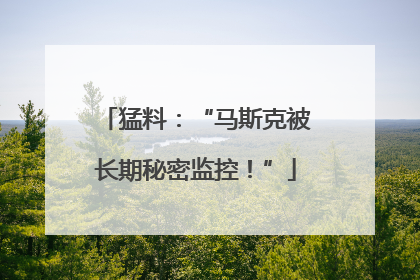 猛料：“马斯克被长期秘密监控！”
