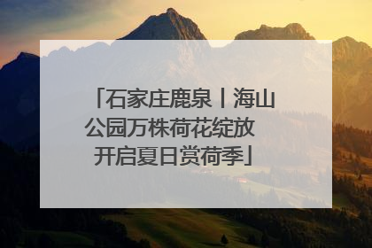 石家庄鹿泉丨海山公园万株荷花绽放 开启夏日赏荷季