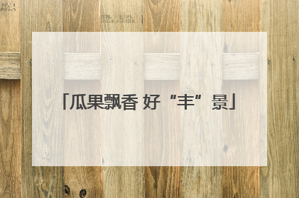瓜果飘香 好“丰”景