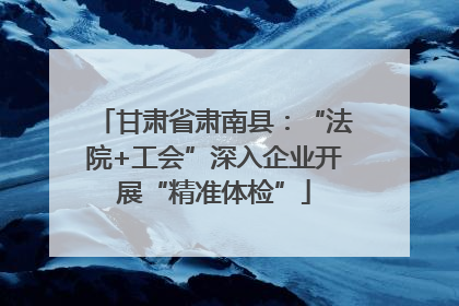 甘肃省肃南县：“法院+工会”深入企业开展“精准体检”