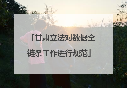 甘肃立法对数据全链条工作进行规范