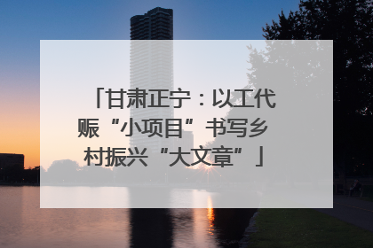 甘肃正宁：以工代赈“小项目”书写乡村振兴“大文章”