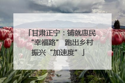 甘肃正宁：铺就惠民“幸福路” 跑出乡村振兴“加速度”