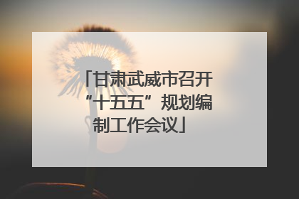 甘肃武威市召开“十五五”规划编制工作会议