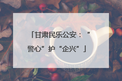 甘肃民乐公安：“警心”护“企兴”