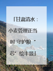 甘肃清水：小麦管理正当时 守护粮“芯”绘丰景