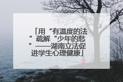 用“有温度的法”疏解“少年的愁”——湖南立法促进学生心理健康