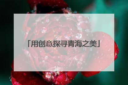 用创意探寻青海之美