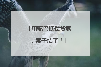 用鸵鸟抵偿货款，案子结了！