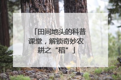 田间地头的科普课堂，解锁奇妙农耕之“稻”
