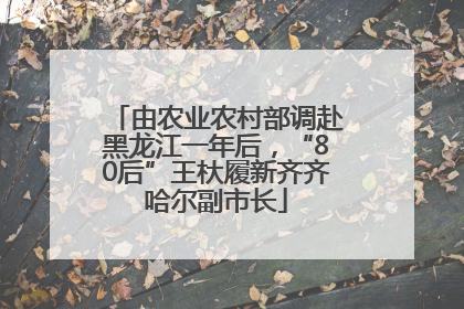 由农业农村部调赴黑龙江一年后，“80后”王杕履新齐齐哈尔副市长