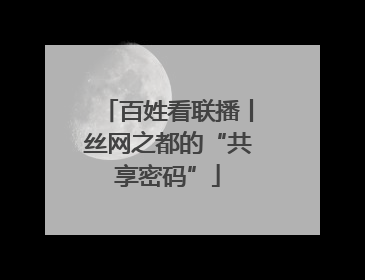 百姓看联播丨丝网之都的“共享密码”
