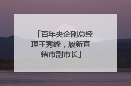 百年央企副总经理王秀峰，履新直辖市副市长