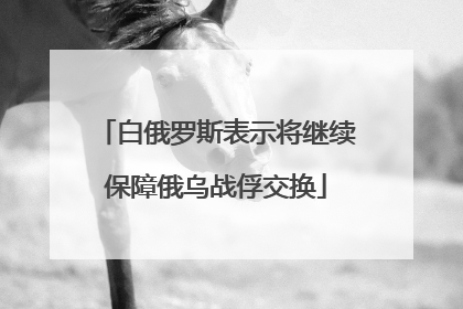 白俄罗斯表示将继续保障俄乌战俘交换