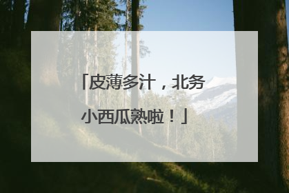 皮薄多汁，北务小西瓜熟啦！