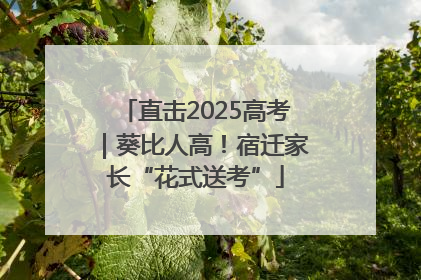 直击2025高考｜葵比人高！宿迁家长“花式送考”