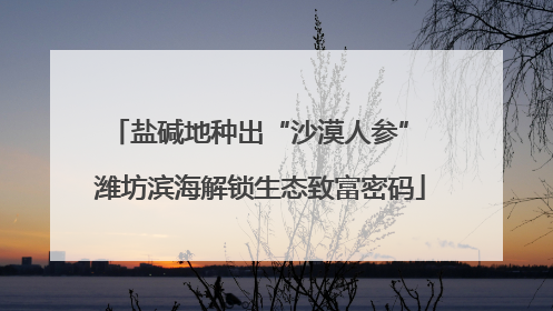 盐碱地种出“沙漠人参” 潍坊滨海解锁生态致富密码