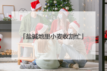 盐碱地里小麦收割忙