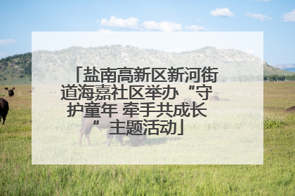 盐南高新区新河街道海嘉社区举办“守护童年 牵手共成长”主题活动