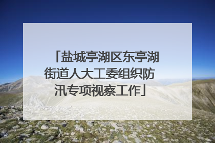 盐城亭湖区东亭湖街道人大工委组织防汛专项视察工作