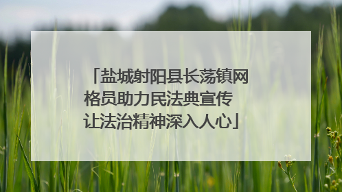 盐城射阳县长荡镇网格员助力民法典宣传 让法治精神深入人心