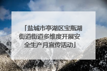 盐城市亭湖区宝瓶湖街道街道多维度开展安全生产月宣传活动