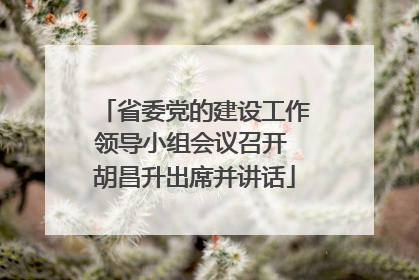省委党的建设工作领导小组会议召开 胡昌升出席并讲话