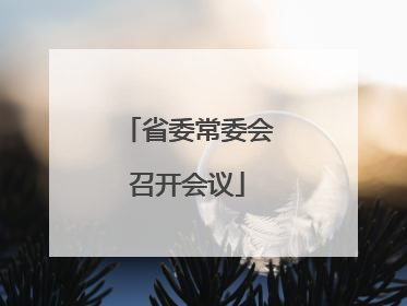 省委常委会召开会议