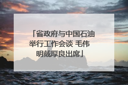 省政府与中国石油举行工作会谈 毛伟明戴厚良出席