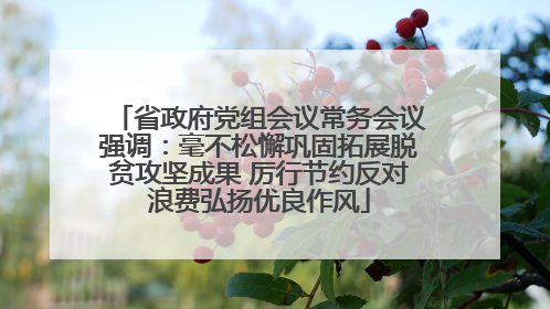 省政府党组会议常务会议强调：毫不松懈巩固拓展脱贫攻坚成果 厉行节约反对浪费弘扬优良作风