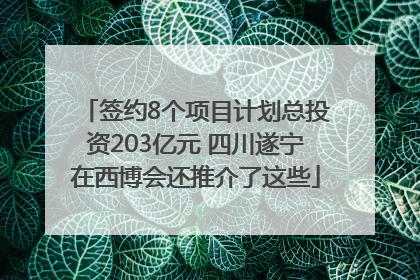 签约8个项目计划总投资203亿元 四川遂宁在西博会还推介了这些