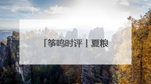 筝鸣时评丨夏粮丰收背后，是潍坊全城的守护
