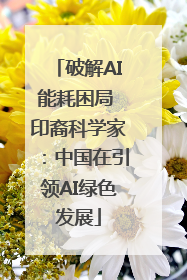 破解AI能耗困局 印裔科学家：中国在引领AI绿色发展