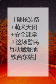 硬核装备+萌犬天团+安全课堂！这场警民互动燃爆地铁台东站
