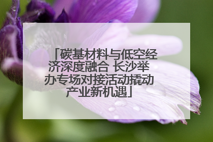 碳基材料与低空经济深度融合 长沙举办专场对接活动撬动产业新机遇