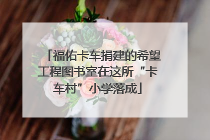 福佑卡车捐建的希望工程图书室在这所“卡车村”小学落成