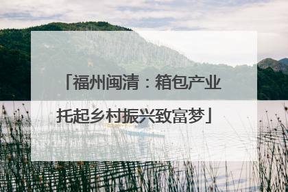 福州闽清：箱包产业托起乡村振兴致富梦