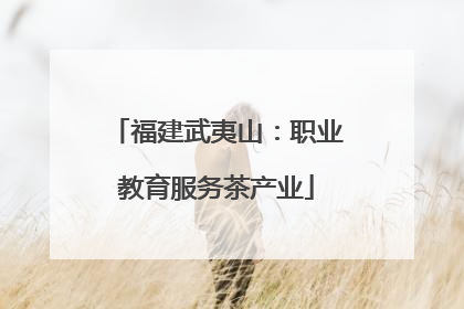 福建武夷山：职业教育服务茶产业