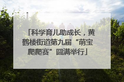 科学育儿助成长，黄鹤楼街道第九届“萌宝爬爬赛”圆满举行
