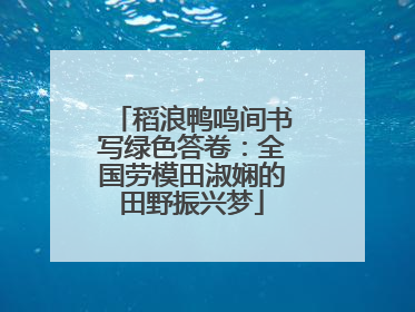稻浪鸭鸣间书写绿色答卷：全国劳模田淑娴的田野振兴梦
